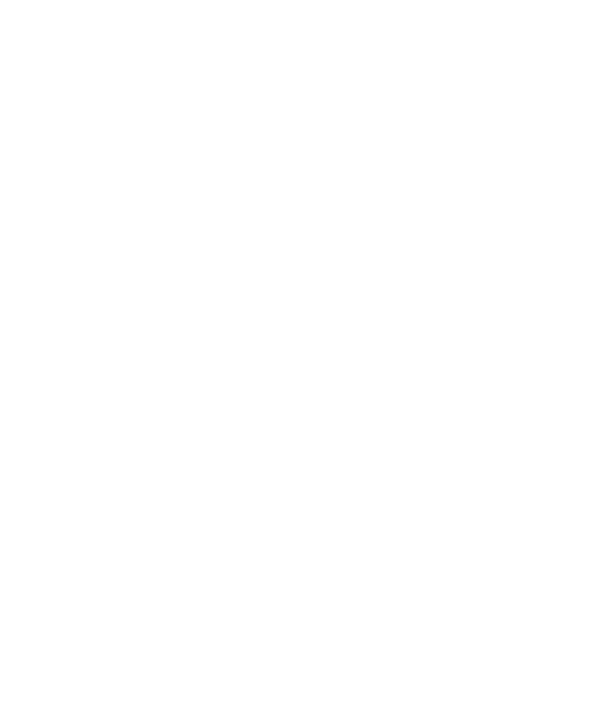 NewValve logo